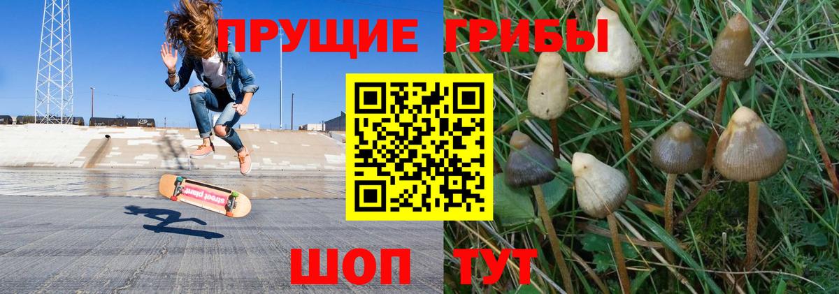 Галлюциногенные грибы MAGIC MUSHROOMS Березники